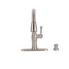 Single Handle Pull-Down Kitchen Faucet with Soap Dispenser and ShieldSpray&reg; Technology
