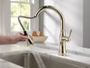 Single Handle Pull-Down Kitchen Faucet with ShieldSpray&reg; Technology