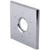 Escutcheon - 6-Setting Diverter