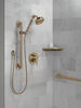 Shower Arm