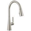 Single Handle Pull-Down Kitchen Faucet with ShieldSpray Technology