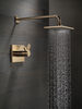 TempAssure&reg; 17T Series Shower Trim
