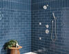 Premium Single-Setting Adjustable Wall Mount Hand Shower