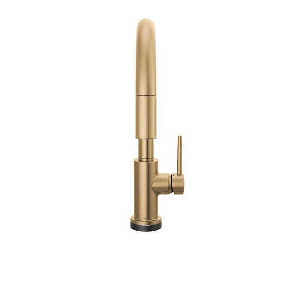 Single Handle Pull-Down Kitchen Faucet with Touch2O&reg; Technology