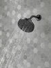 H2Okinetic&reg; 5-Setting Contemporary Raincan Shower Head