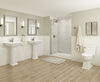Two Handle Centerset Bathroom Faucet