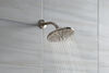 Shower Arm