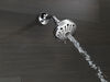 Shower Arm