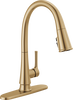 Single Handle Pull-Down Kitchen Faucet with ShieldSpray&reg; Technology