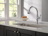 Single Handle Pull-Down Kitchen Faucet with ShieldSpray&reg; Technology