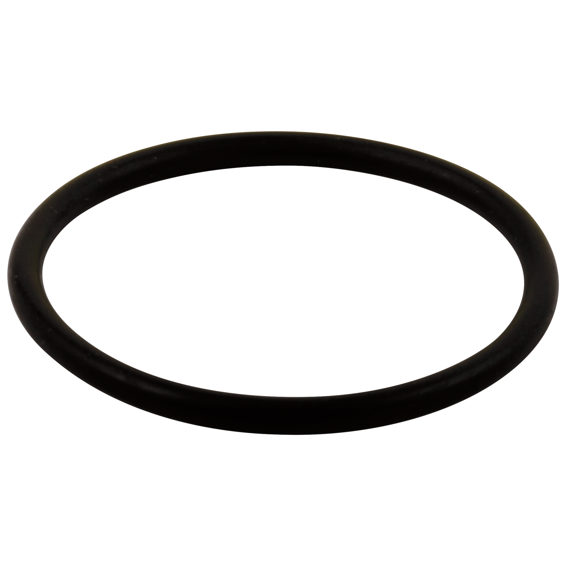 O-Ring - Large - All Monitor&reg; Series