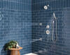 Premium Single-Setting Adjustable Wall Mount Hand Shower