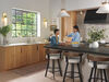 Reverse Osmosis Contemporary Faucet (Recertified)