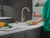 Single Handle Pull-Down Kitchen Faucet with Soap Dispenser and ShieldSpray&reg; Technology