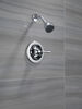 Single Handle Shower