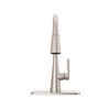 Single Handle Pull-Down Kitchen Faucet with ShieldSpray Technology