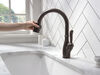 Single Handle Pull-Down Kitchen Faucet with ShieldSpray&reg; Technology