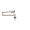 Contemporary Pot Filler