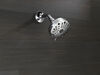 Shower Arm