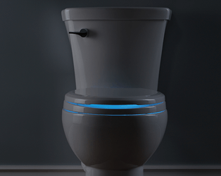Thumbnail image of 





Toilet Seat Night Light



