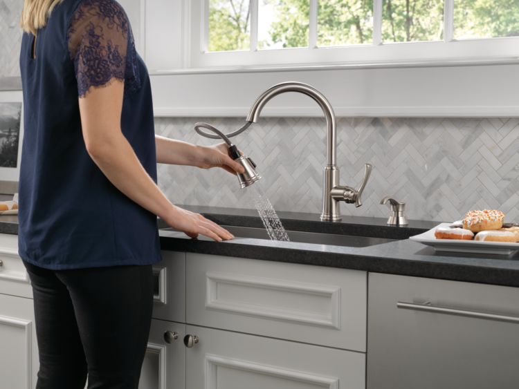 lakeview-kitchen-19963-SSSD-DST