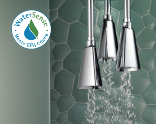 Thumbnail image of 





WaterSense® Labeled Products



