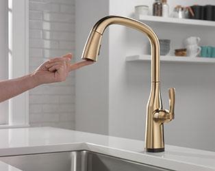 Thumbnail image of 





Touch-Clean® Spray Holes



