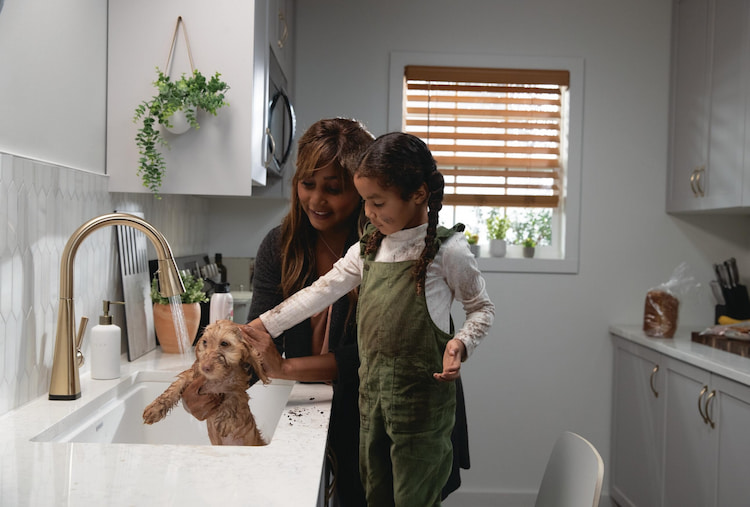 Family bathing puppy in Workstation sink