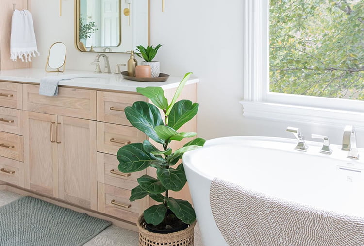 @ksneeddesign's calm coastal bathroom