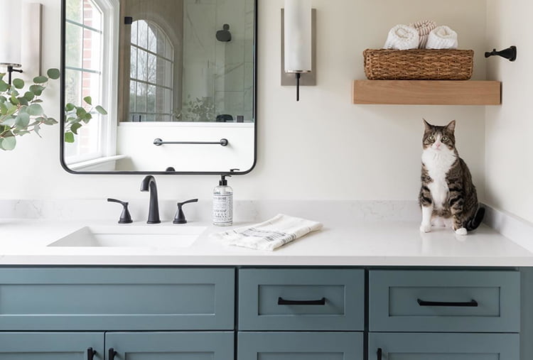 @ksneeddesign's beachy bathroom