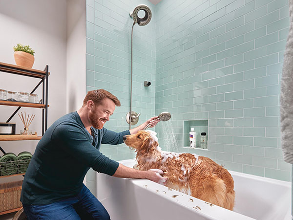 Two-in-One Shower