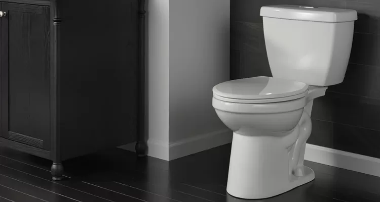Toilet quick fixes