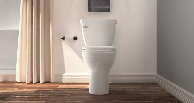Toilet quick fixes