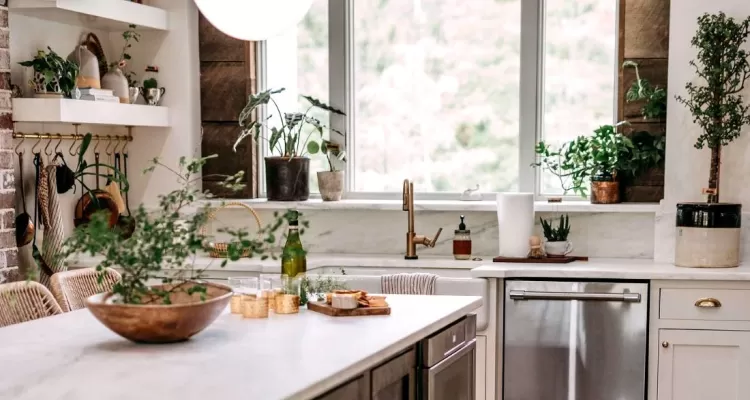 @huntcountryhouse's plant filled kitchen