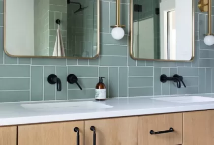 @laurenramirezinteriors' Matte Black Bathroom Fixtures