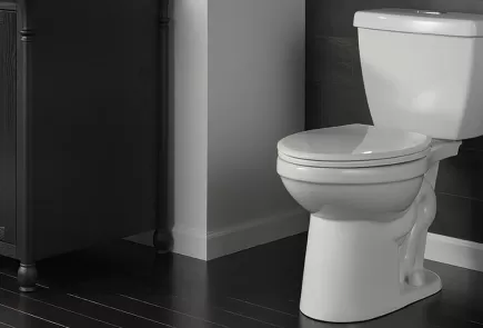 Toilet quick fixes