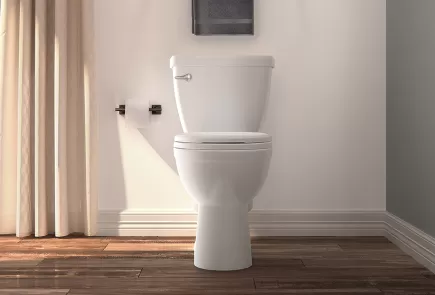 Toilet quick fixes