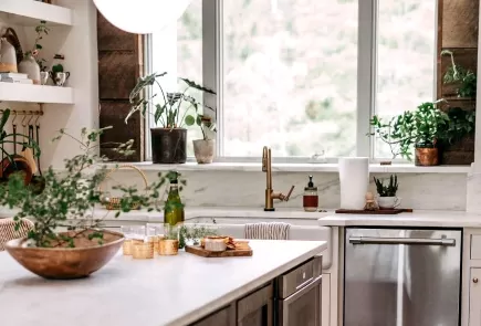 @huntcountryhouse's plant filled kitchen
