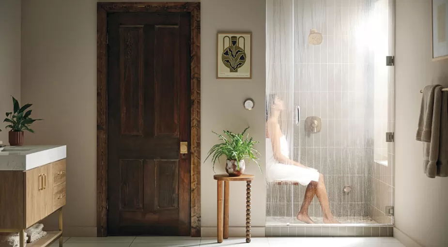 Delta Steam Shower